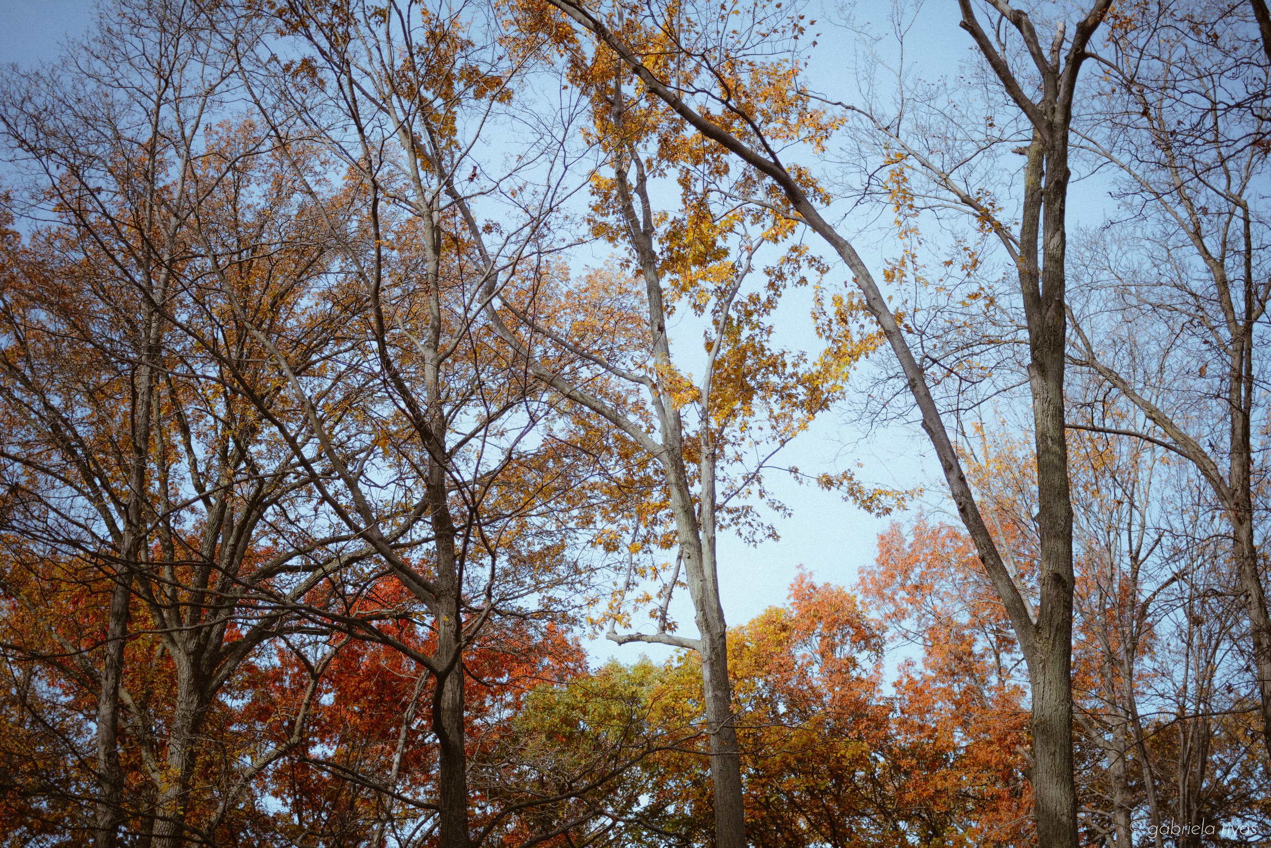 DSC_0331-37.jpg