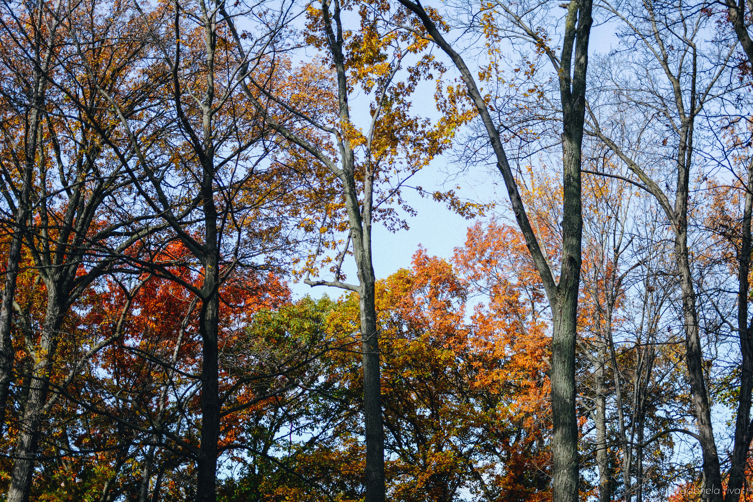DSC_0332-38.jpg
