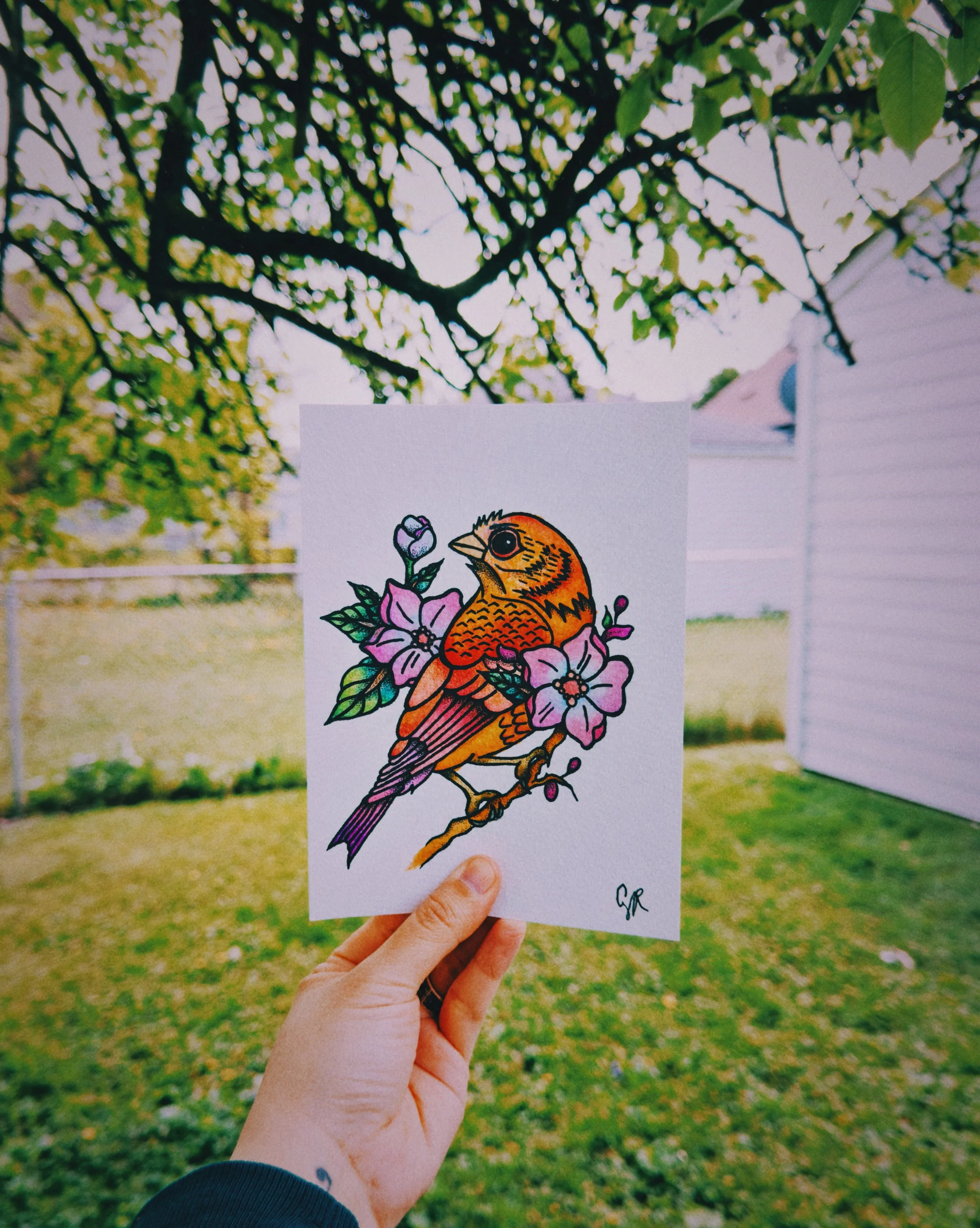 AfterlightImage 12.JPG