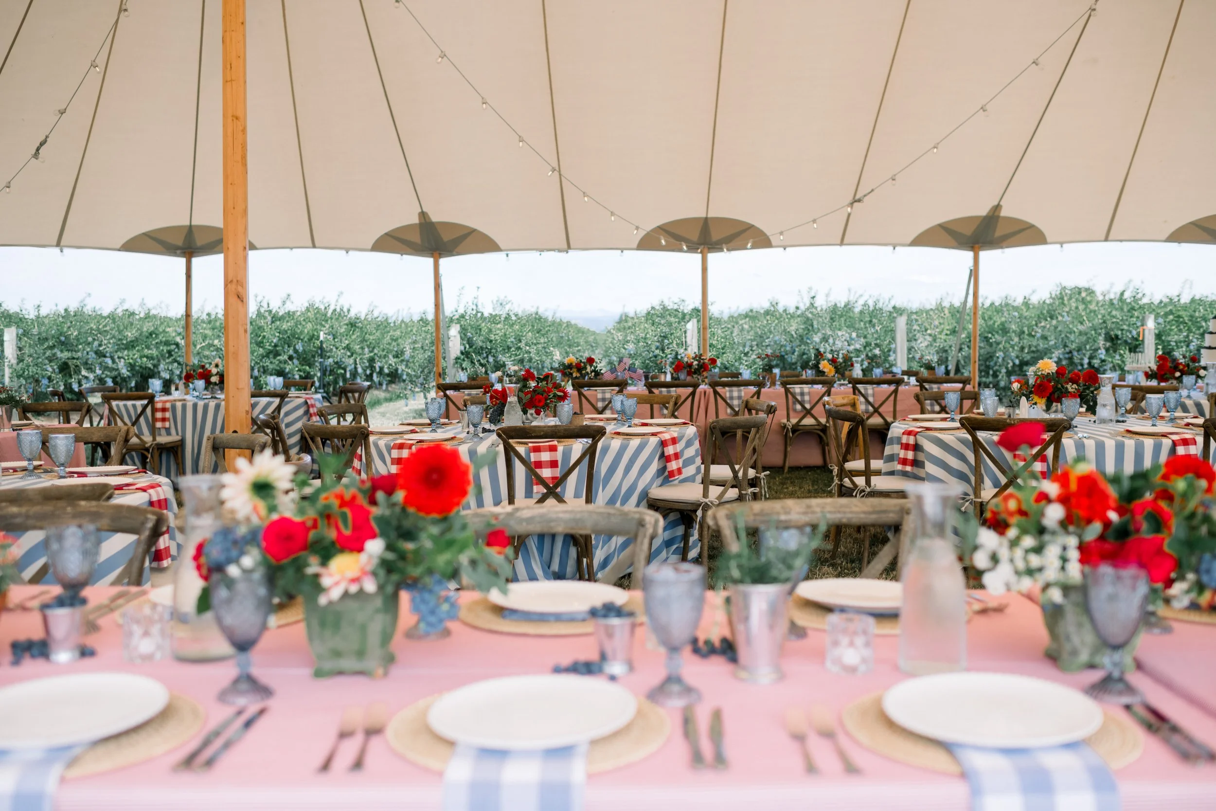 Izzy_and_Colton_Private_Residence_Deyla_Huss_Photography