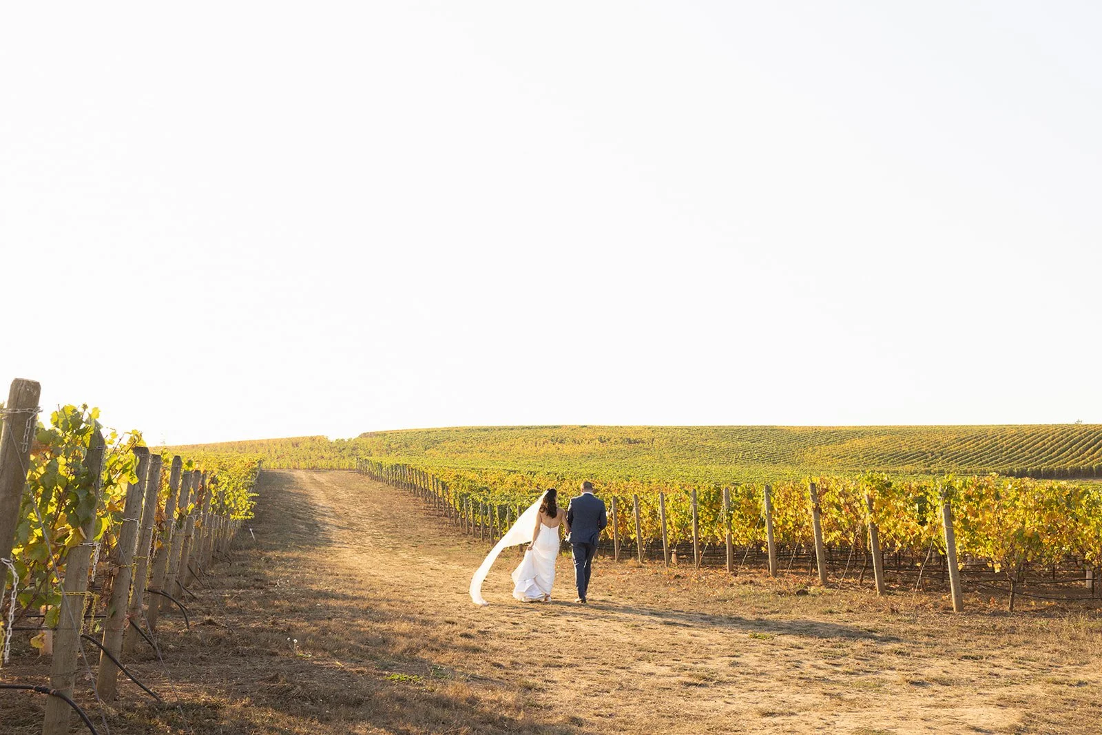 900Alli and Chris wedding.jpg