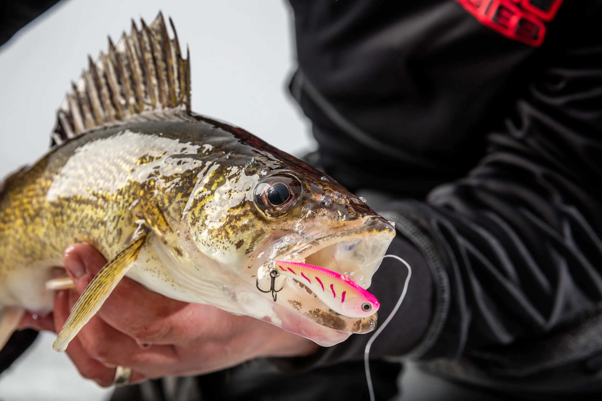 RAPALA — In-Depth Media Productions