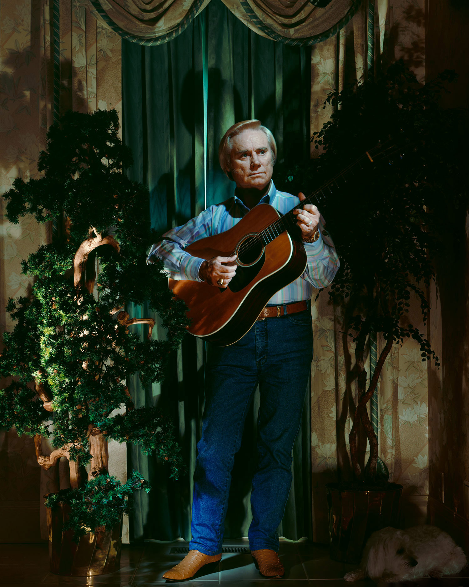 George Jones, Nashville, Tennessee