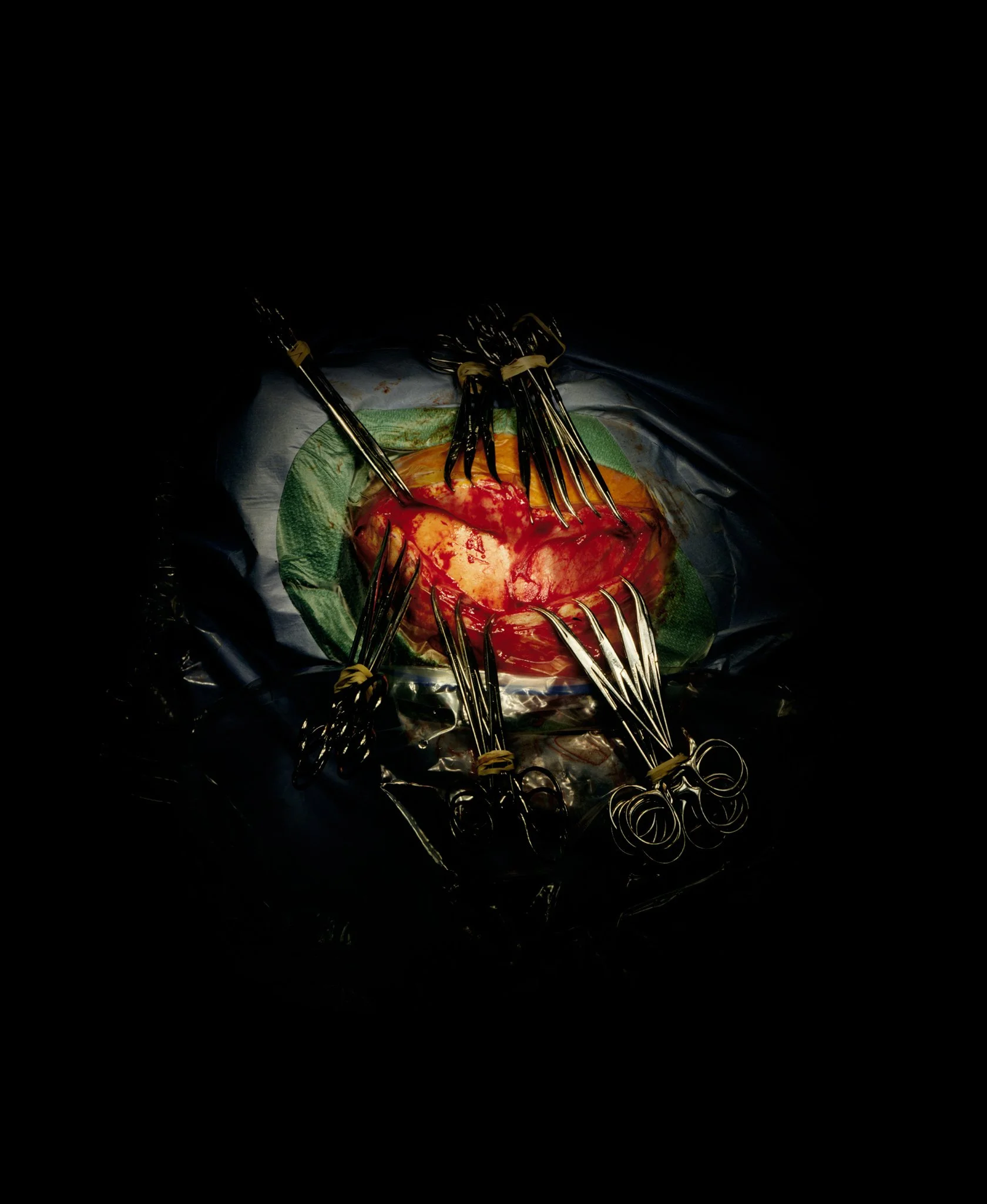 the sacred heart — max aguilera.hellweg