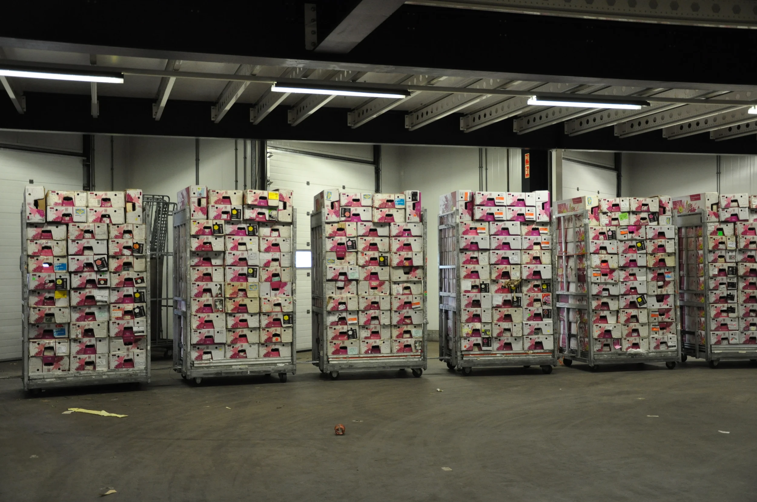 flower boxes stacked on plant trolleys