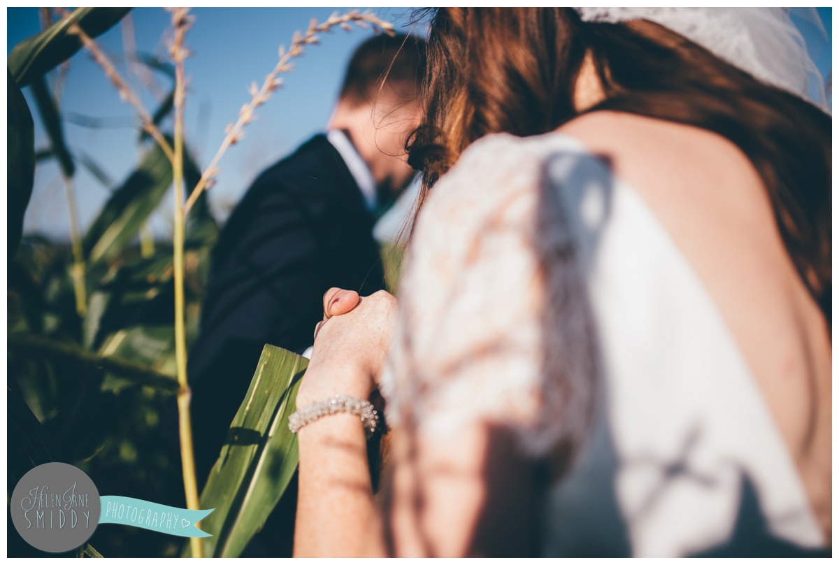 Newly married couple have their wedding photographs taken in a corn field in Norfolk.