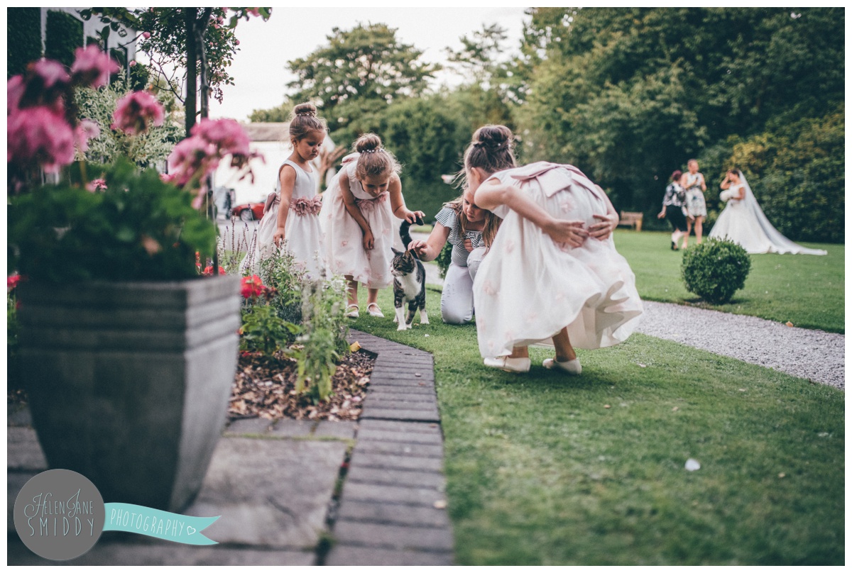 The young wedding guests find a cat to play with at Statham Lodge in Cheshire.