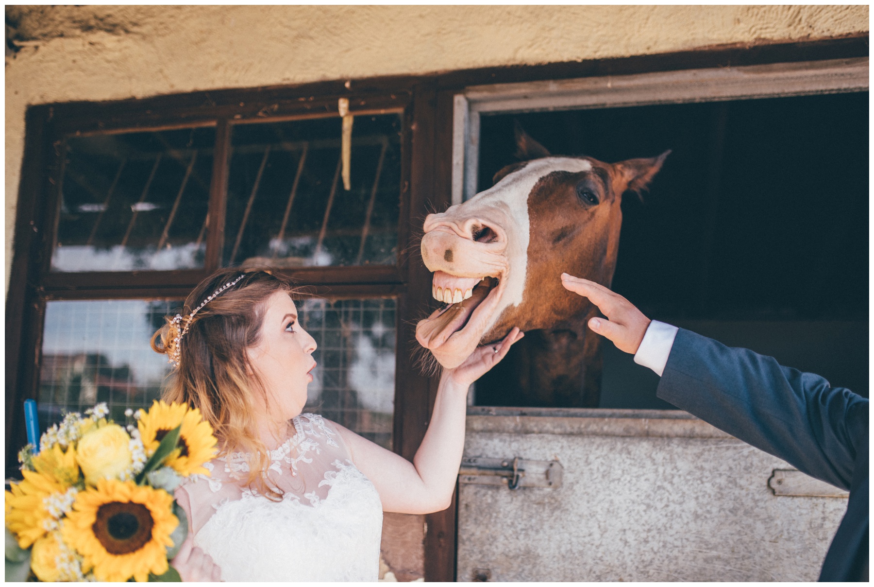 Hilarious photograph of a bride reaction to a horse getting in her face at a Kings Acre Wedstival wedding festival in Chester.