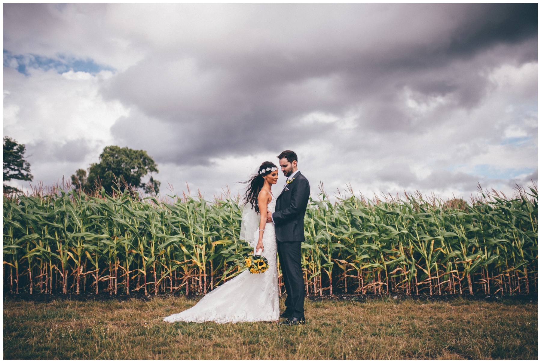 Bride and groom have their wedding photographs taken in a corn field at Sandhole Oak Barn in Cheshire.