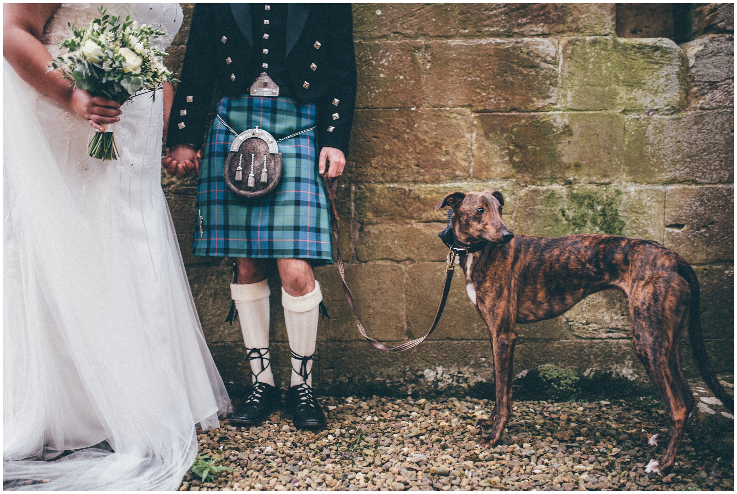 Gorgeous greyhound at Scottish wedding in Melrose Abbey.