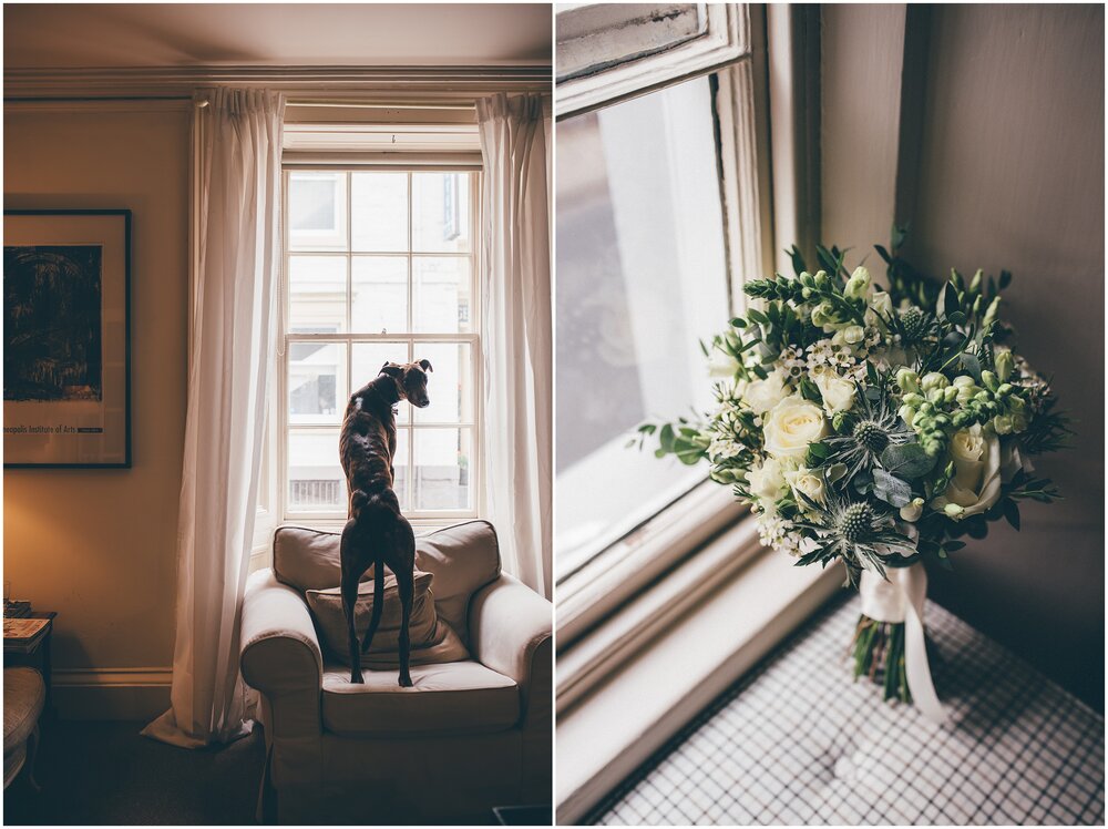 Greyhound/whippet lurch dog waiting for the Scotland elopement wedding.