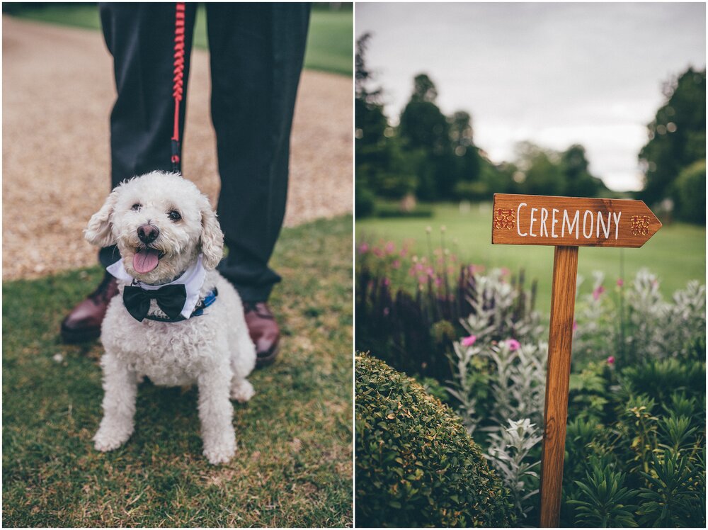 Cute dog groomsmen in a dickie bow at the wedding at Chippenham Park Gardens.