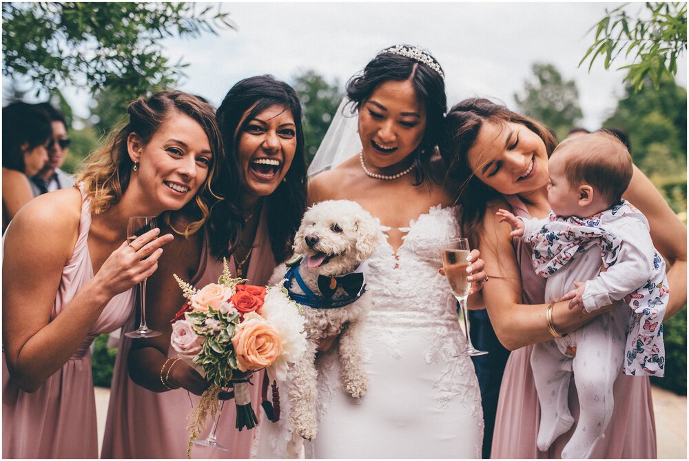 Cute dog in a suit makes the bride and bridesmaids laugh at Chippenham Park Gardens.