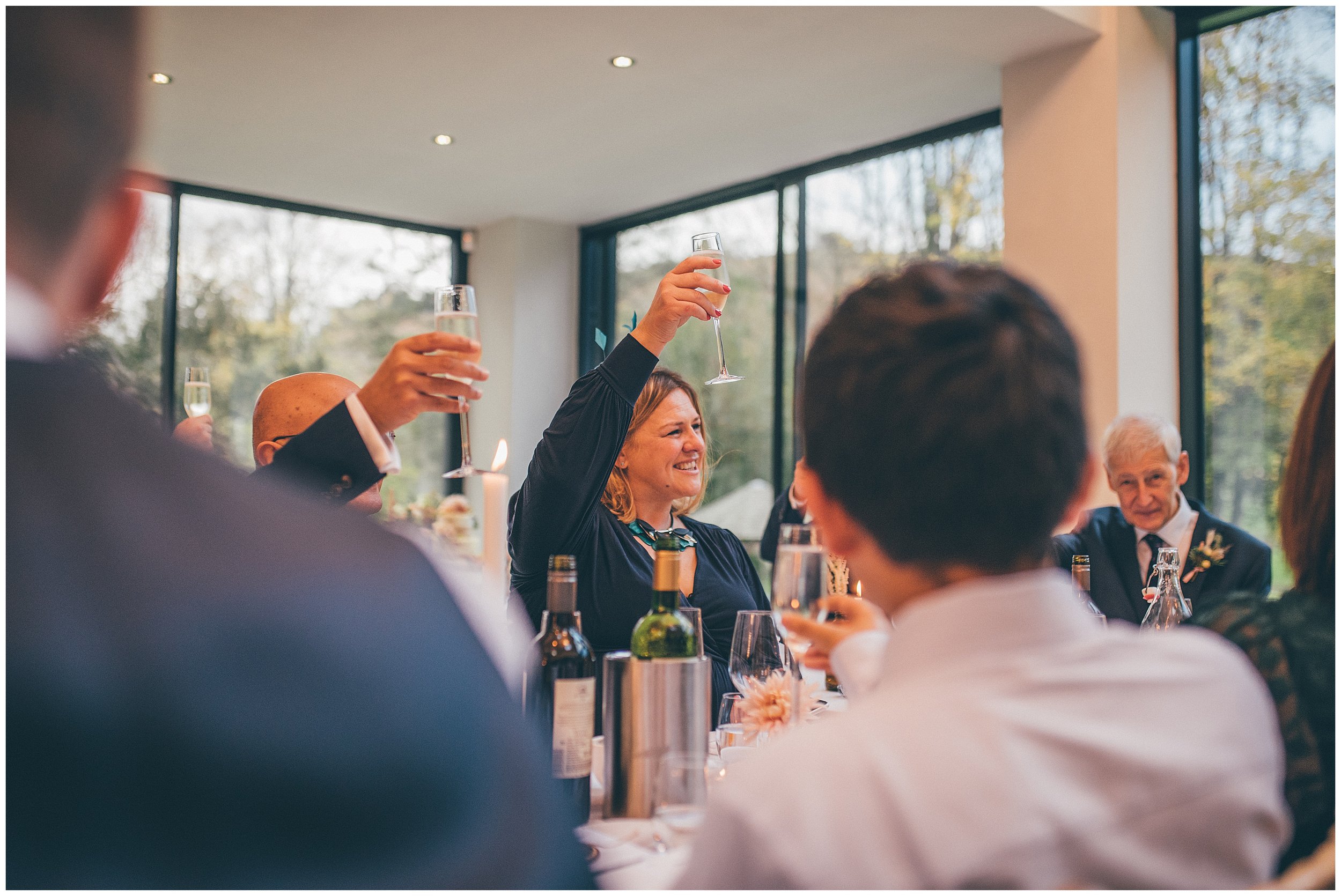 Guests toast the bride and groom