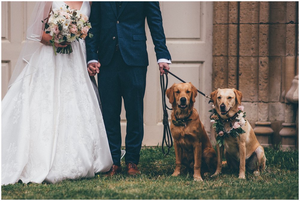 Bride and Groom's dog's pose for photographs with flowers on their collars