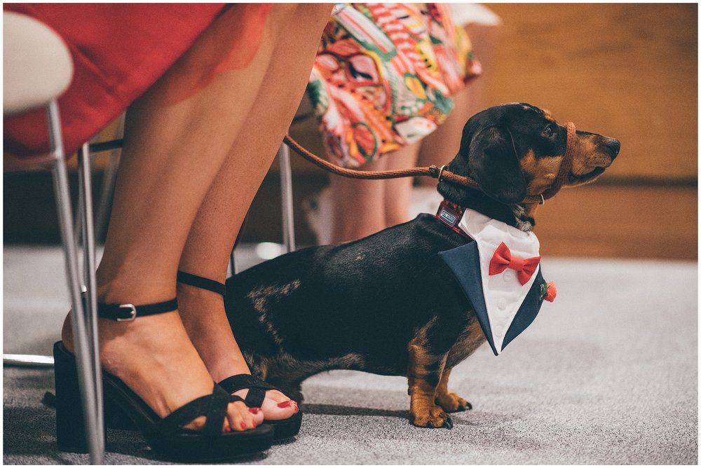 Sausage dog watches bride and groom get married in Cheshire wedding
