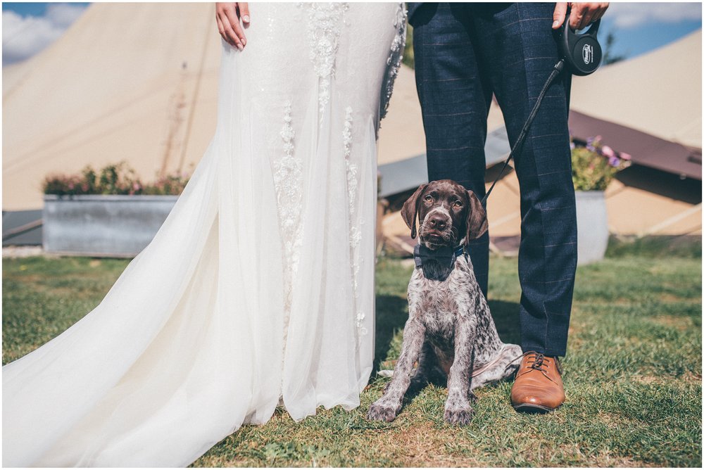Bride and groom with their puppy at Skipbridge Country Wedding venue in Yorkshire