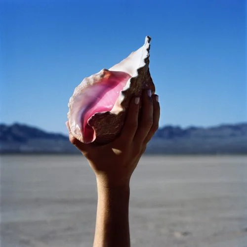 TheKillers_WonderfulWonderful_AC.jpg