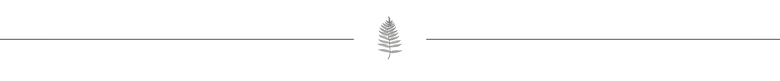 fern_bg_line.png