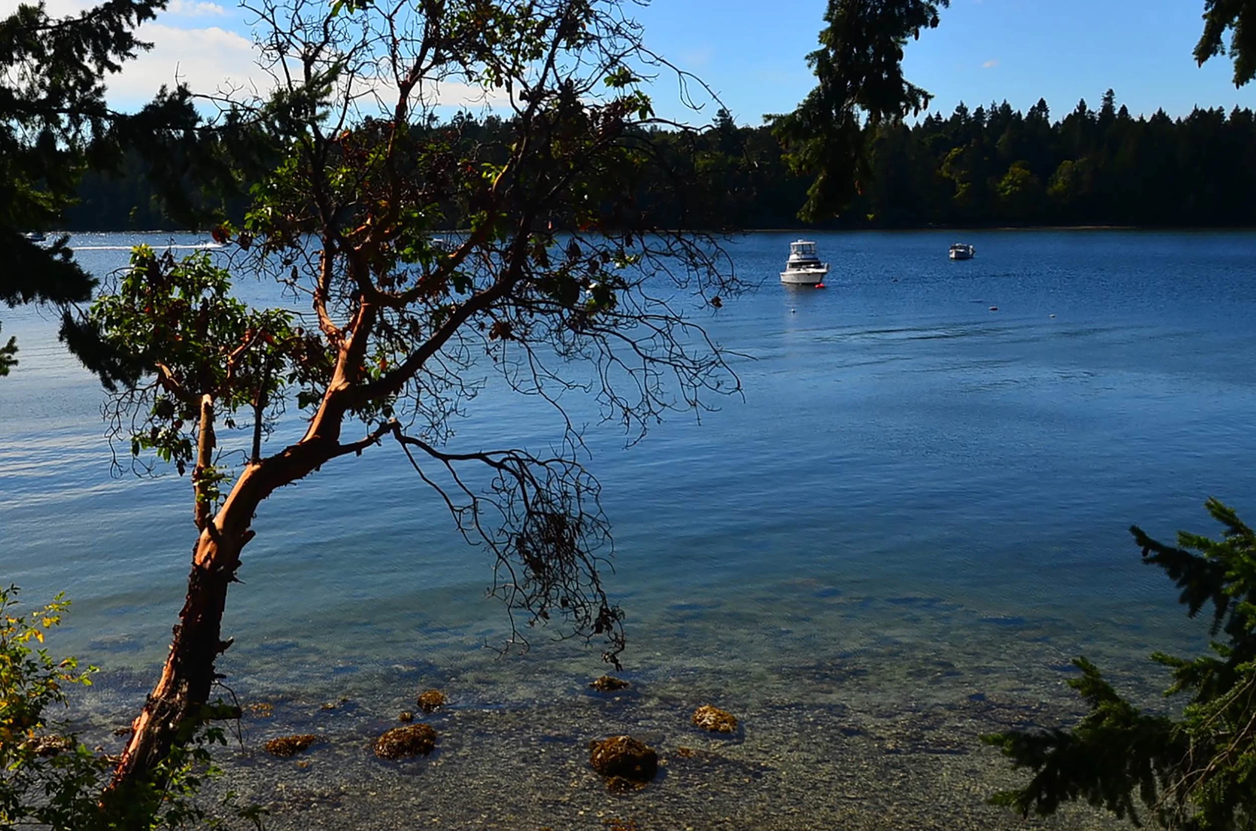 cedar-beach-thetis-01.jpg
