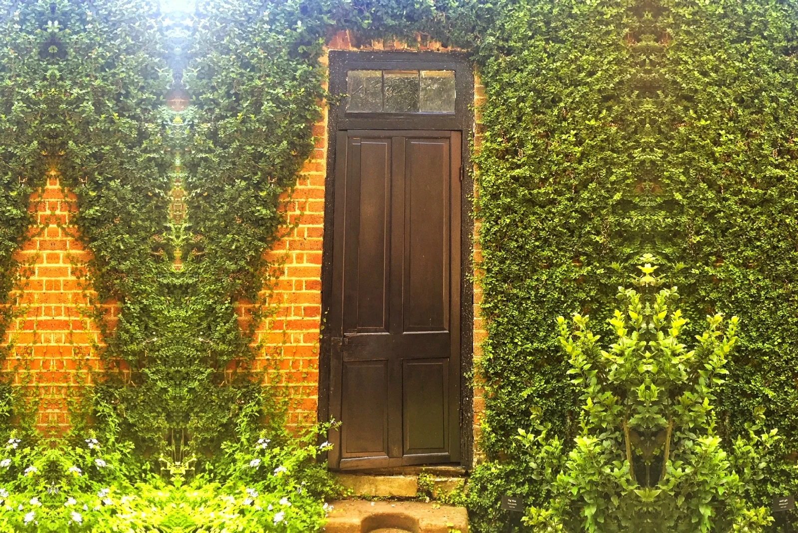 Speak to Convert: Transform Audiences Into Raving Fans