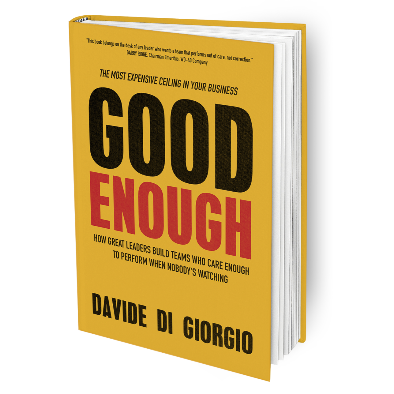 Good Enough Book
