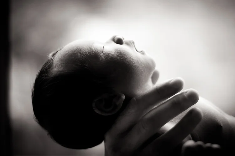 elizabeth chan photography