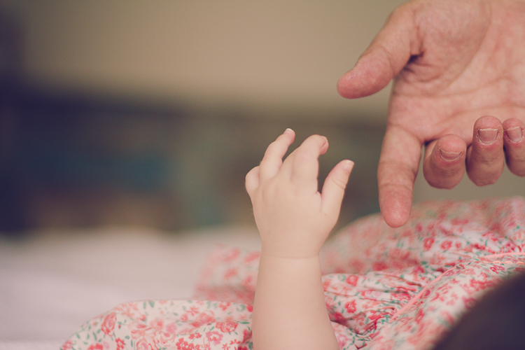 elizabeth chan photography