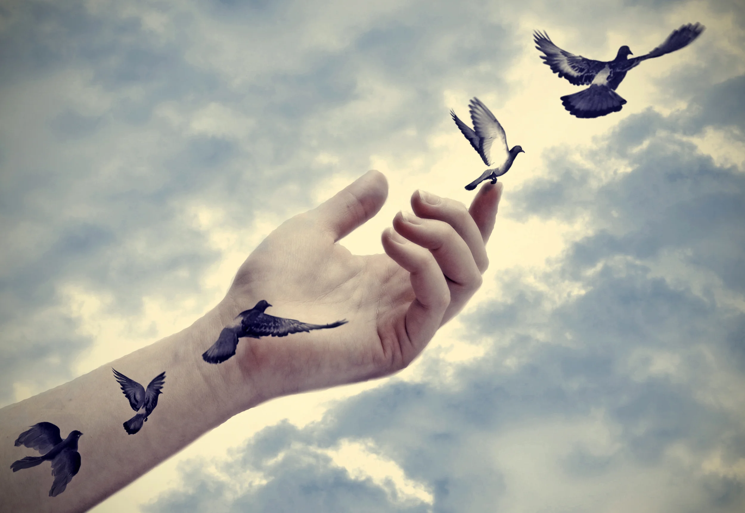 How To Forgive