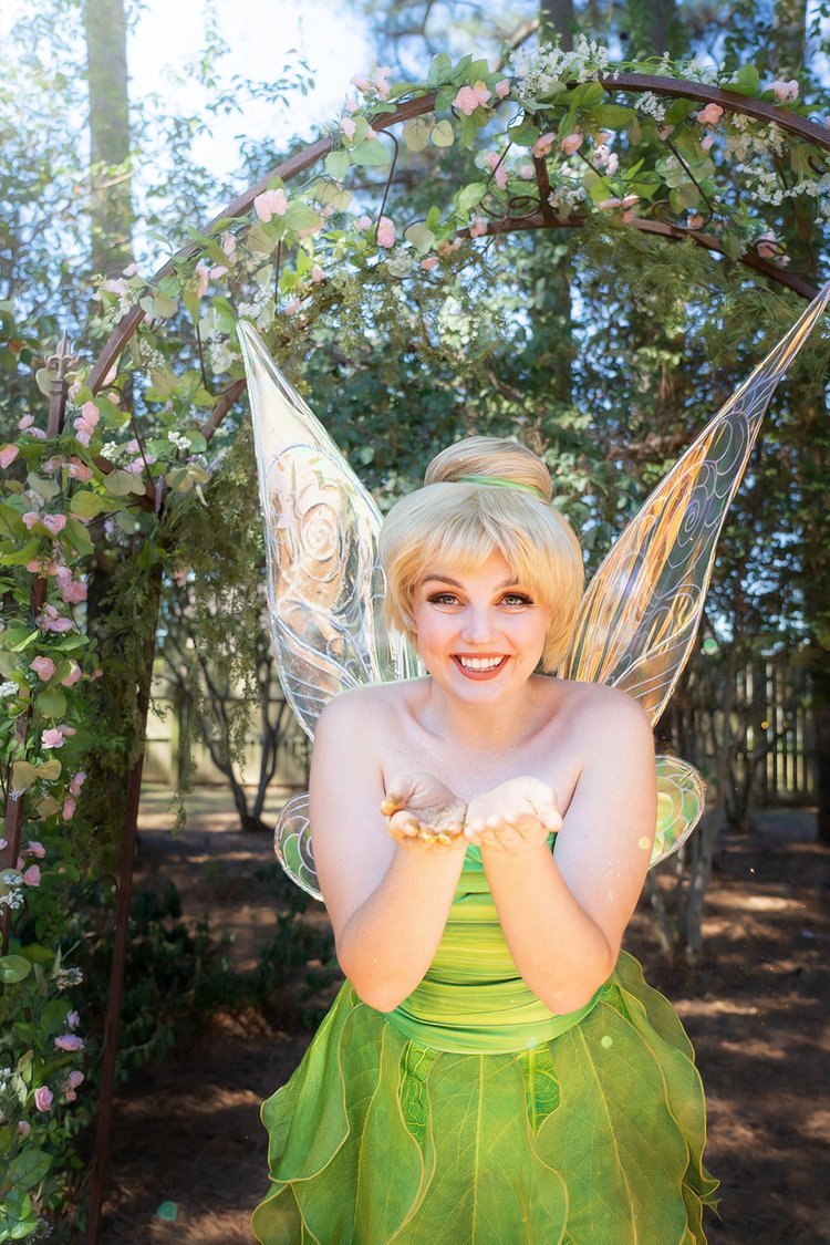 The Tinker Fairy