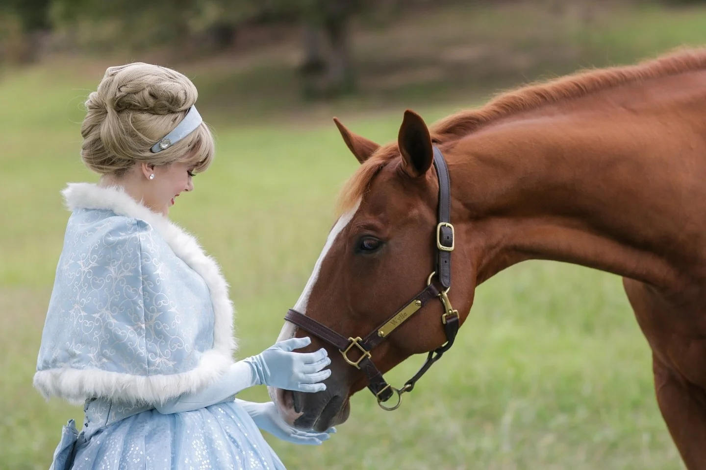 🎄It&rsquo;s the most wonderful time of the year! 🎄

ln case you didn&rsquo;t know!

Our Princesses have winter wear, Christmas songs, and Christmas storybooks! 

Check out our link in bio/website to learn more!

🎄
👑
🎁
&bull;
。#centralarkansas #l