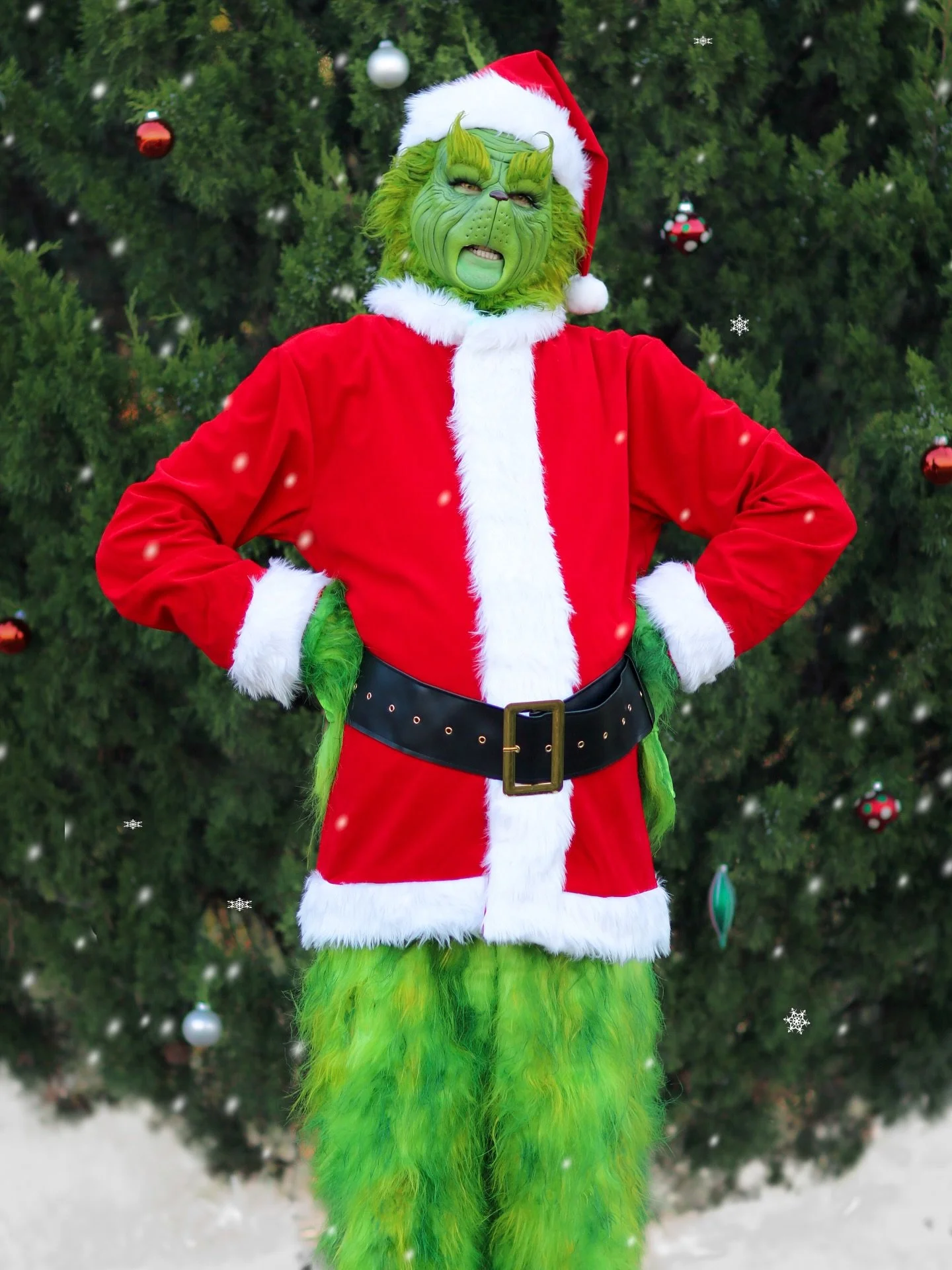 🎶You&rsquo;re as cuddly as a cactus, you&rsquo;re as charming as an eel, Mr. Grinch🎶
Adding Mean Green One (similar to &ldquo;The Grinch&rdquo; from &ldquo;How the Grinch Stole Christmas&rdquo;) to your event or celebration is a guaranteed way to &