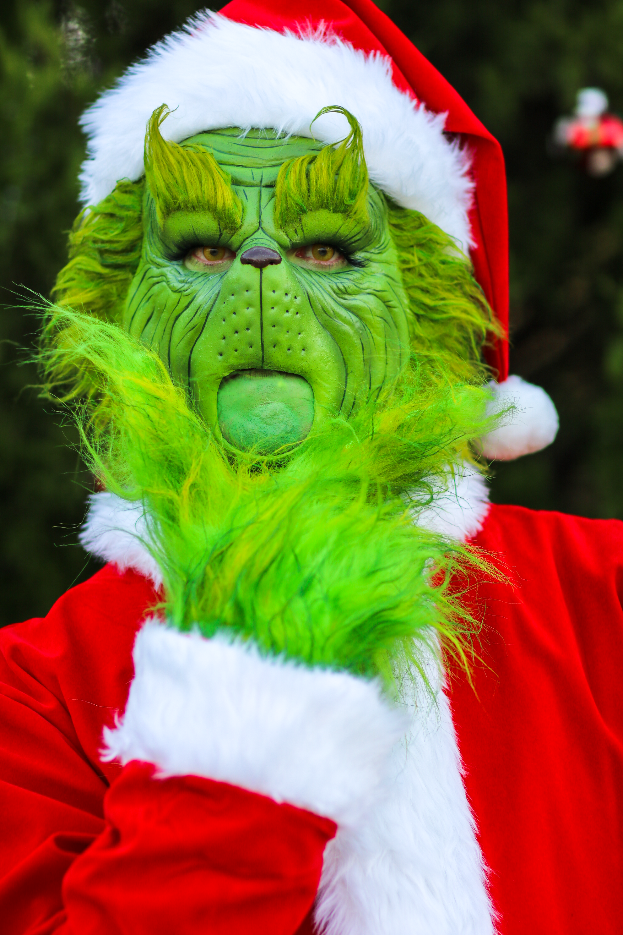 Grinchmas at White River Wonderland