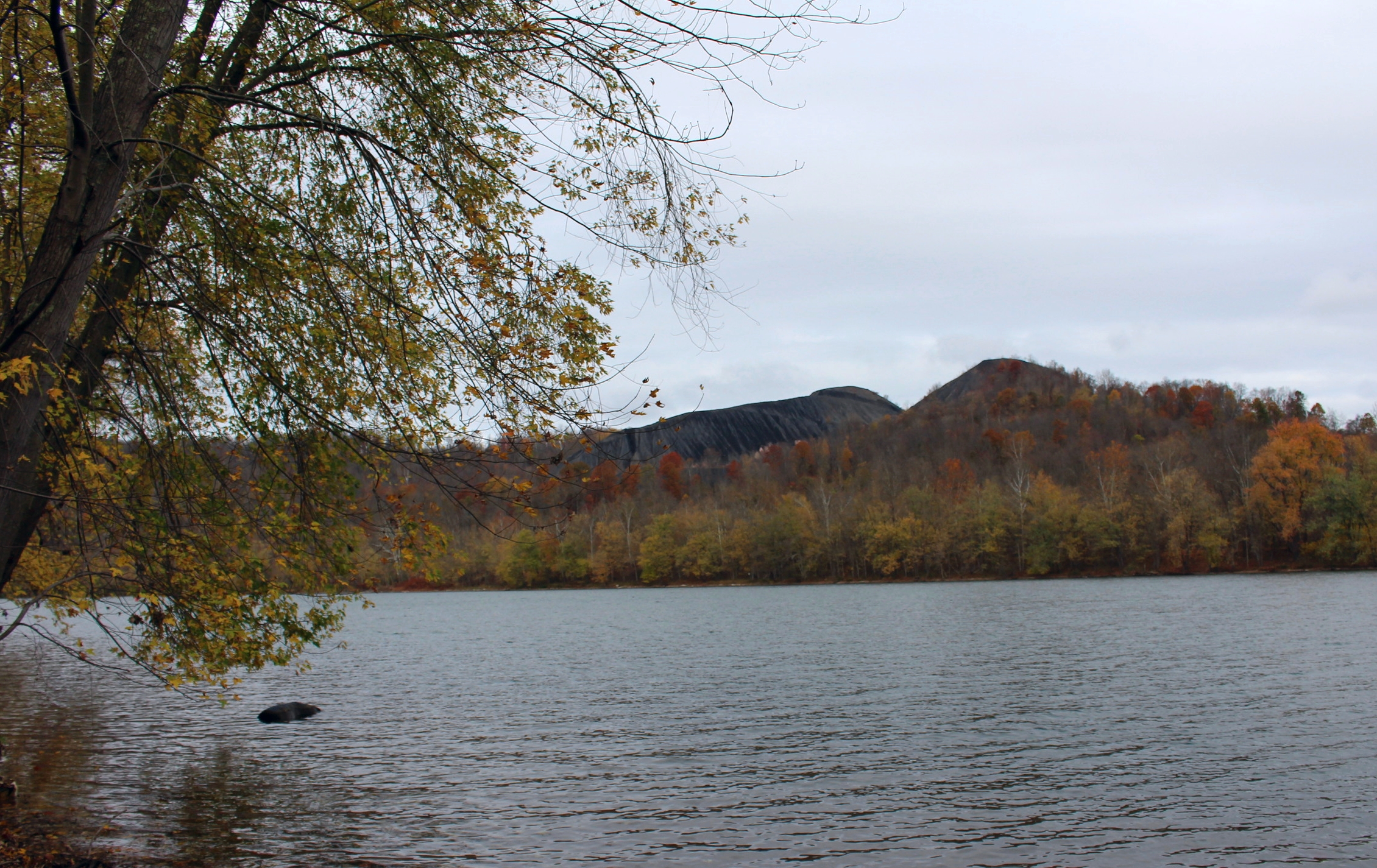 An old slag pile rises from behind the trees, next to the Monongahela River near Rice's Landing in Greene County
