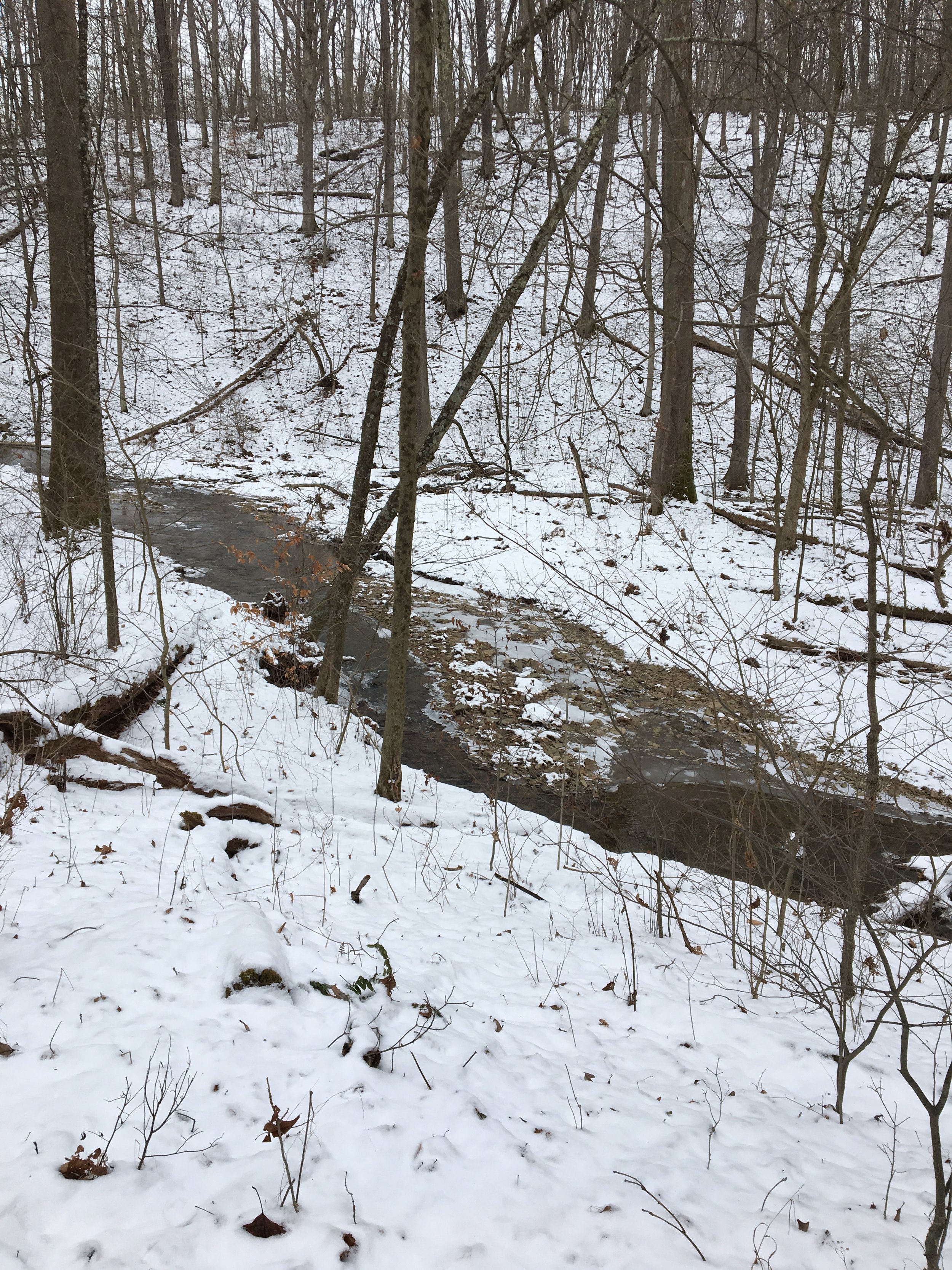 Kent Run in Ryerson Station State Park 