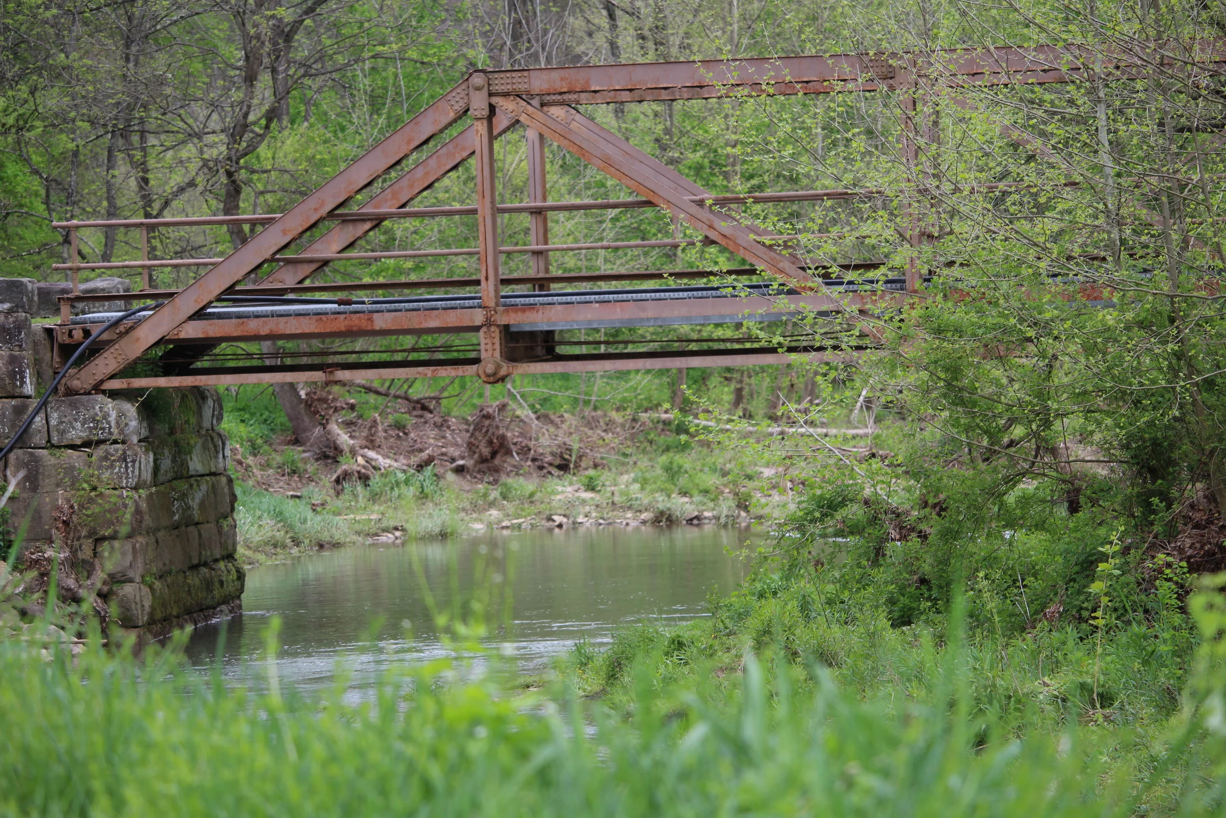 Iron Bridge Area of Ryerson Station State Park (Photo Credit: Sarah Winner)