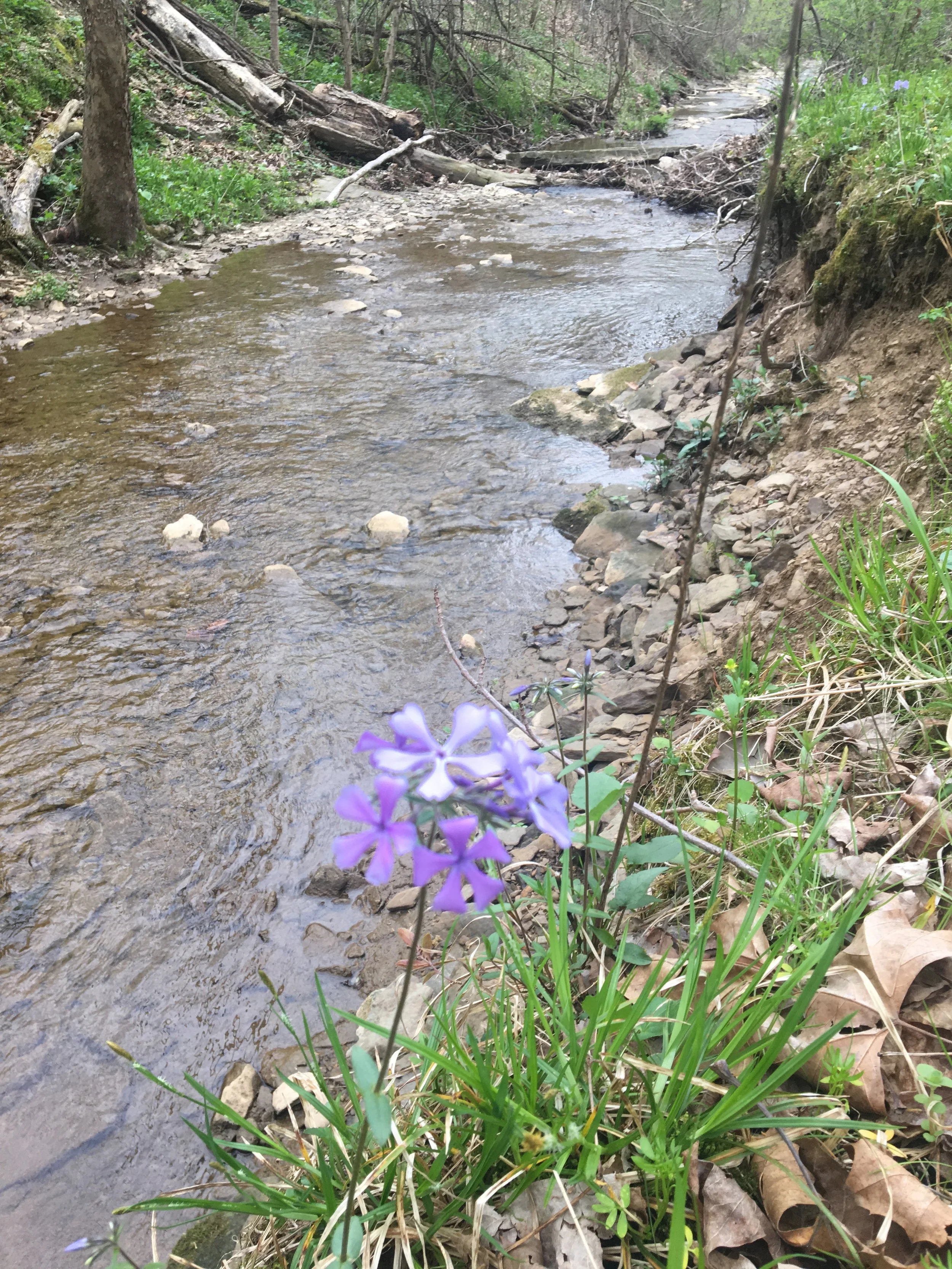 Polen Run at Ryerson Station State Park