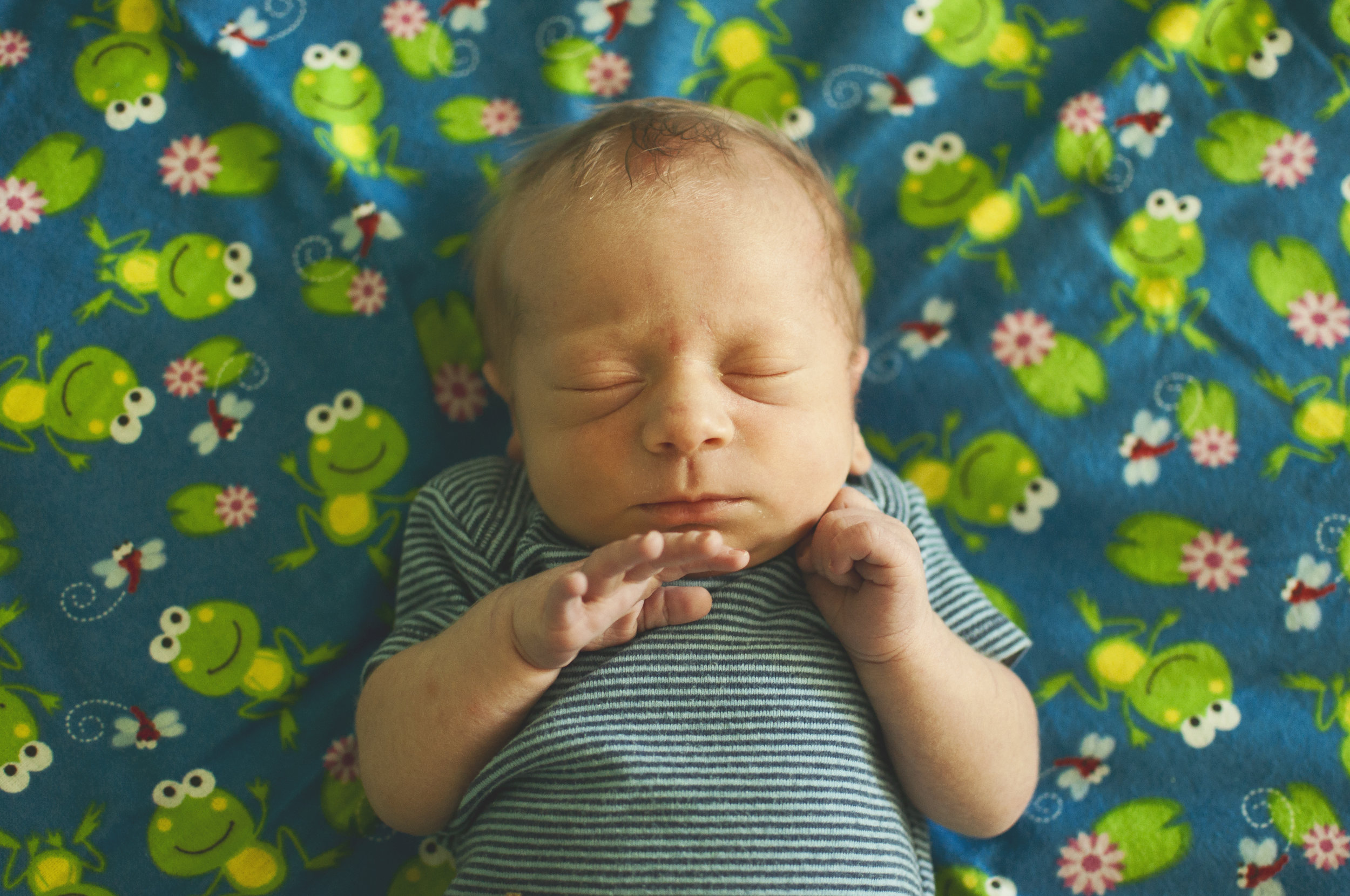 Maxey Family Photos | Logan Lifestyle Newborn