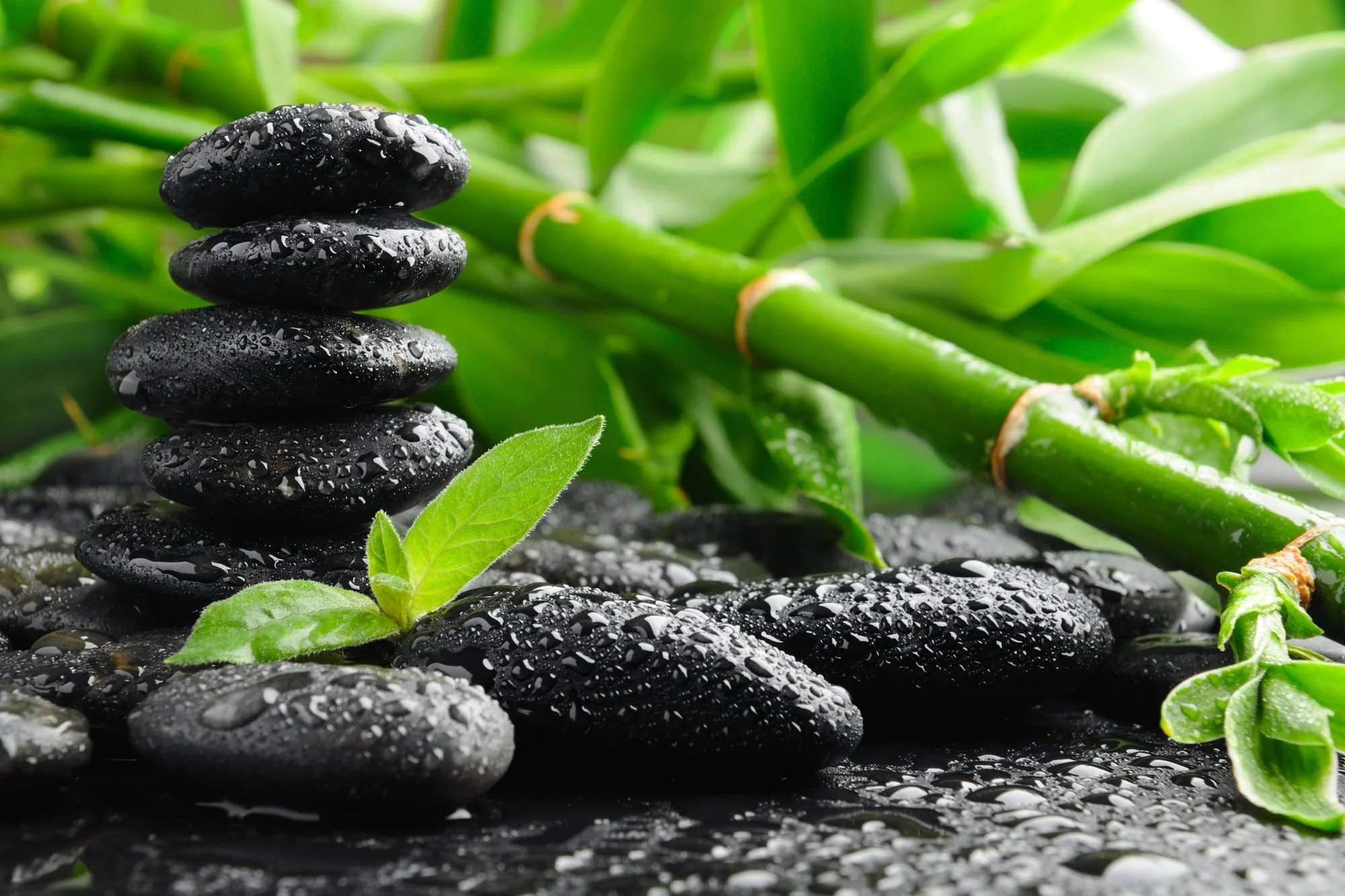 Zen Rules