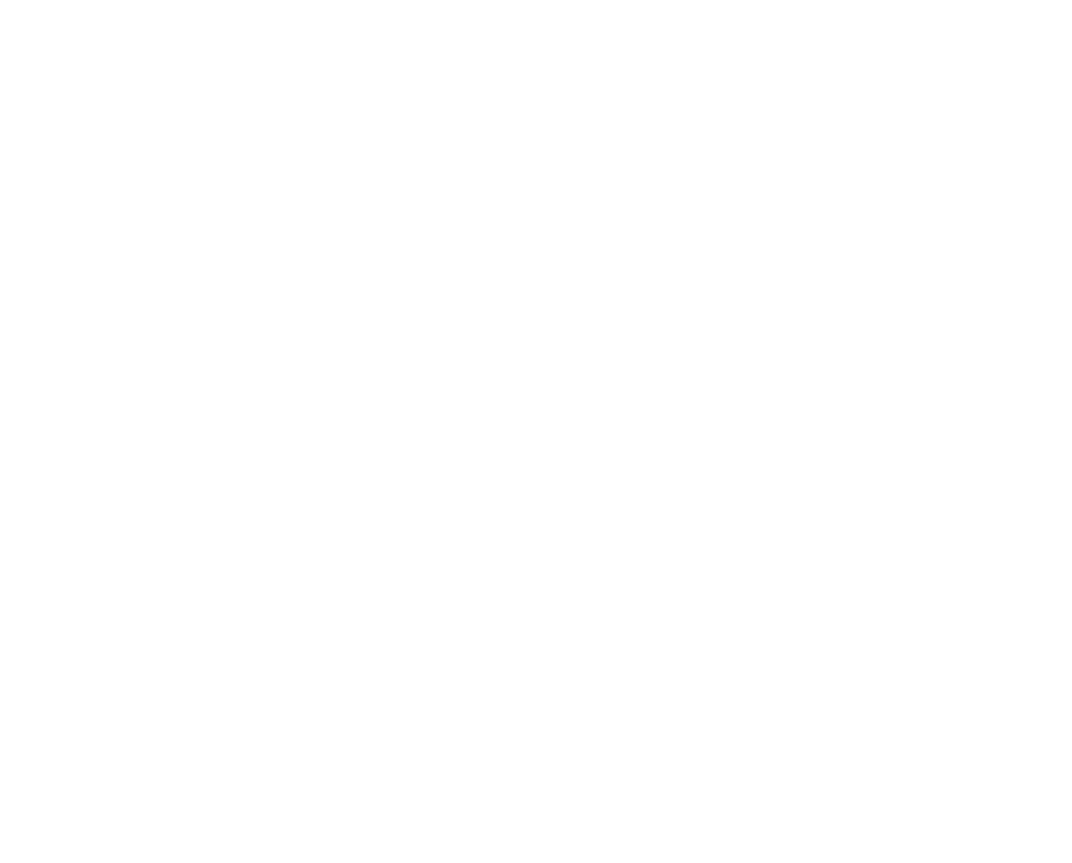 Wonderbird_White_Logo_NOBKG.png