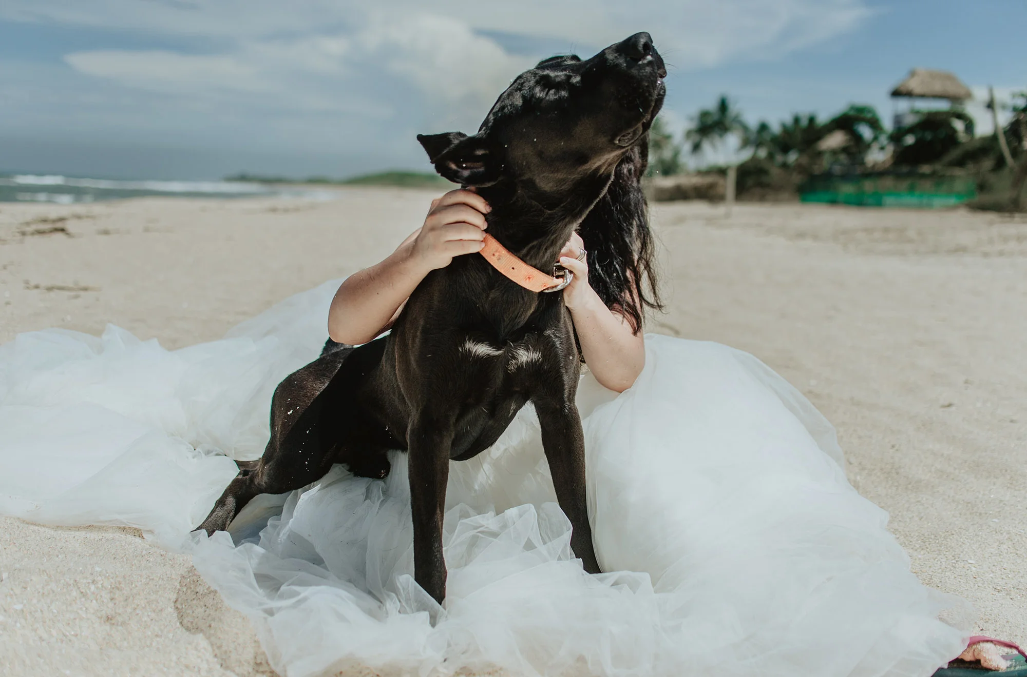 bibi y aldo trash the dress120.jpg
