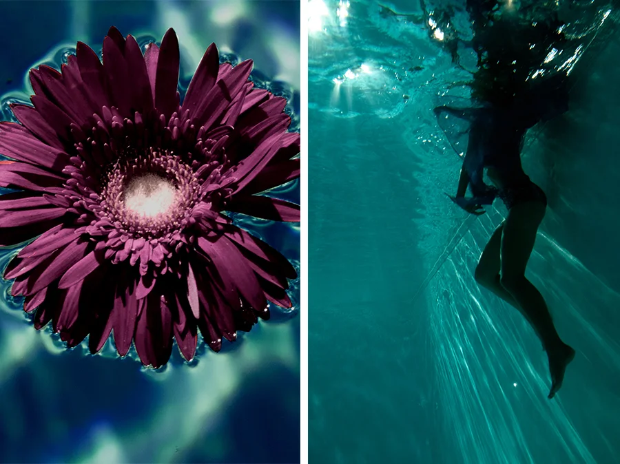 HDP+SWIM+1.jpg