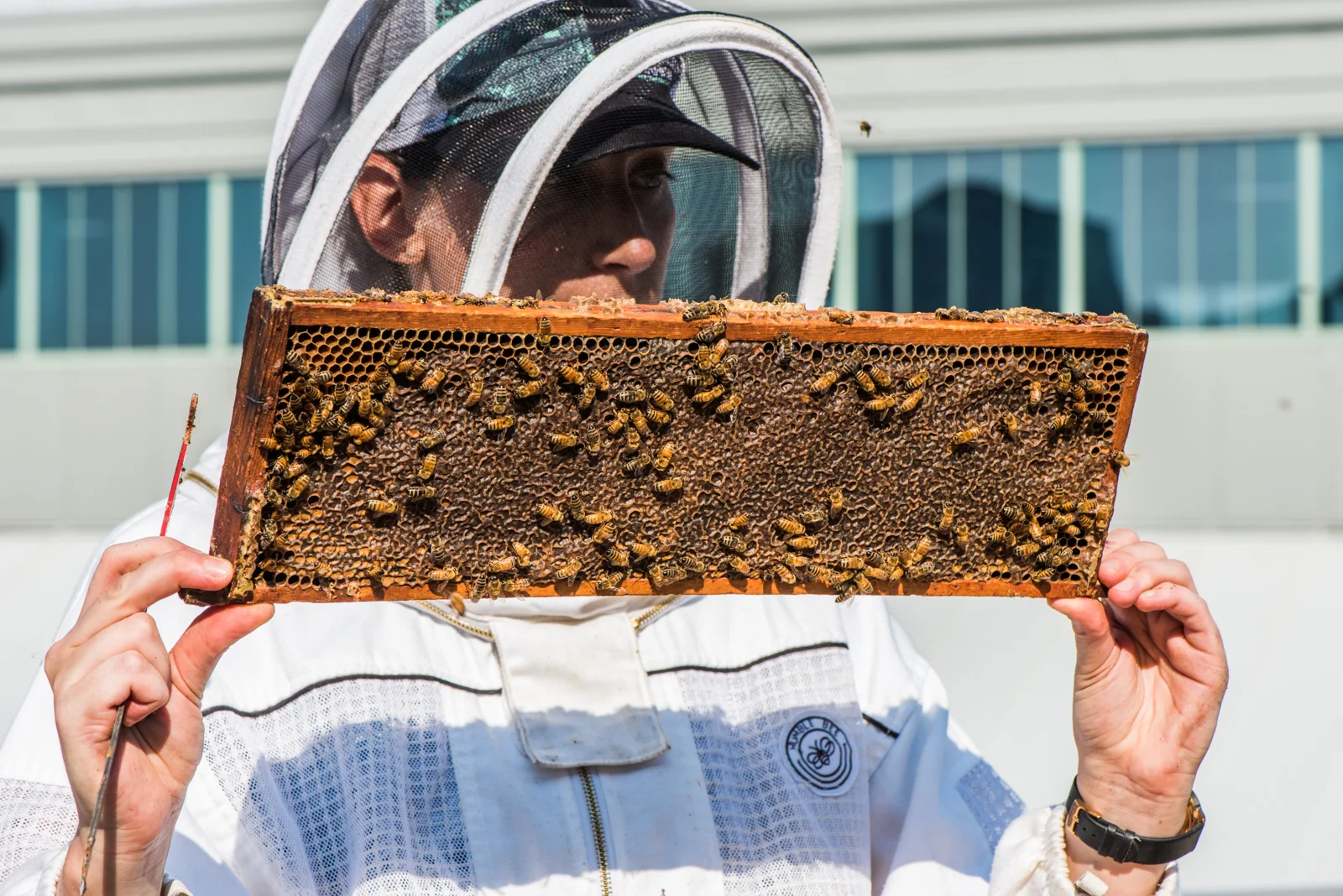 Geraldine Simonis Head Beekeeper