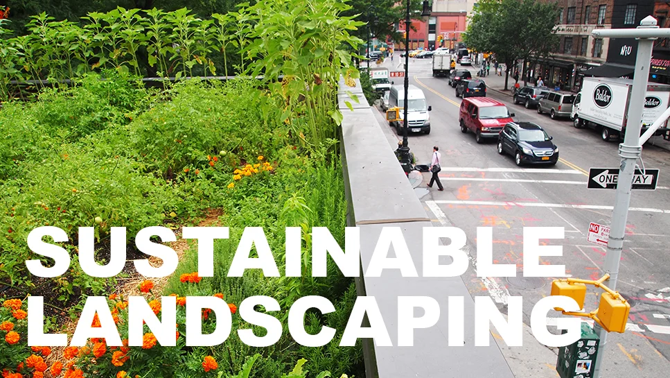 sustainable landscaping.jpg