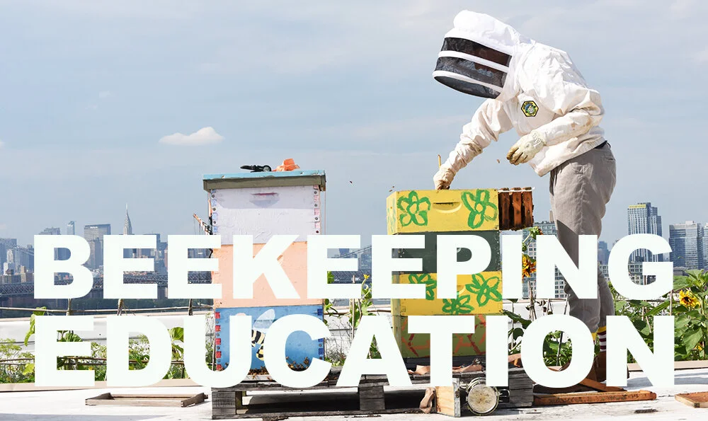 Help NYC increase tax incentives for new green roof projects!