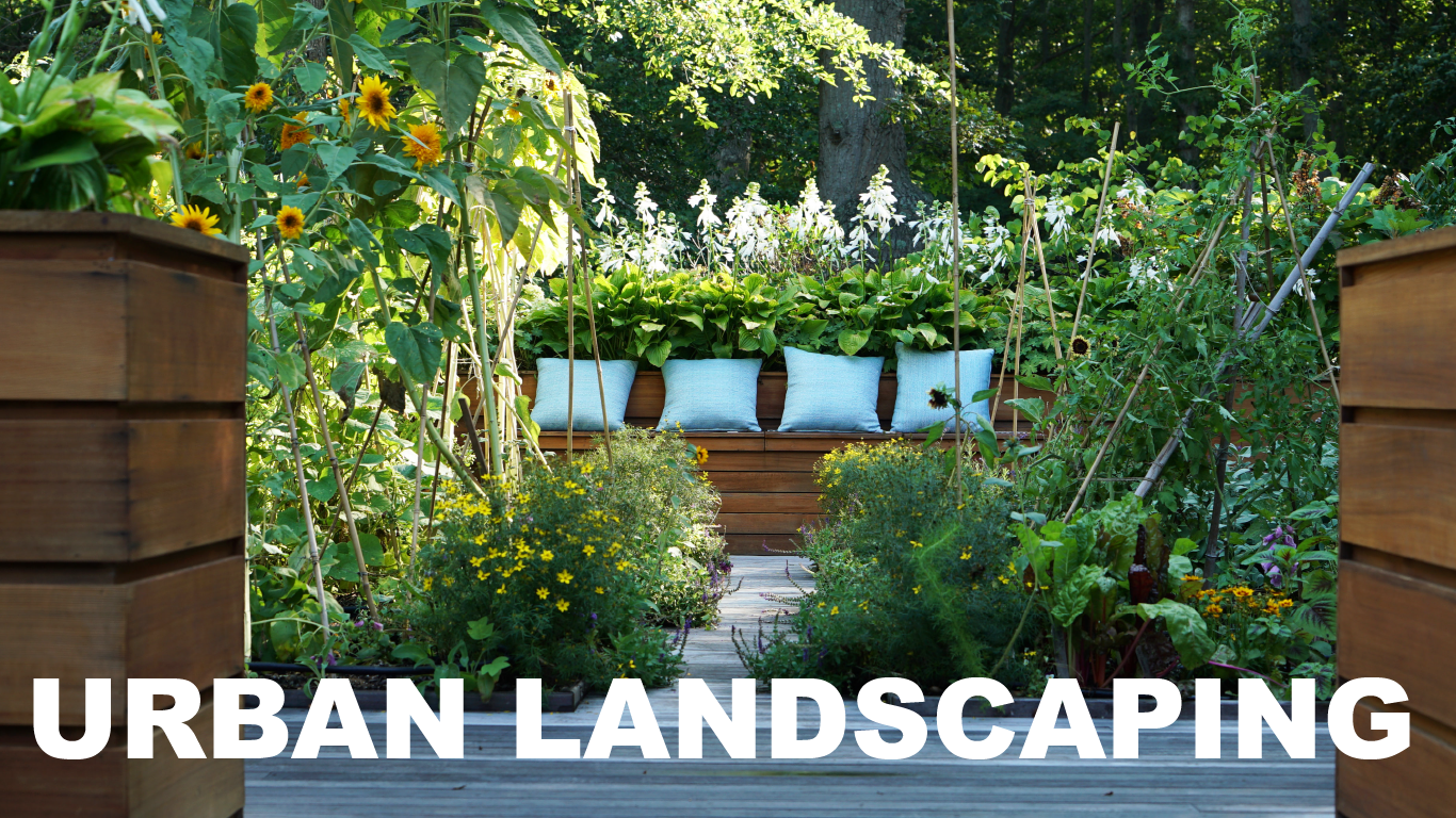 Bring some green home with you! Learn more about our landscaping services, and check our design/build portfolio.