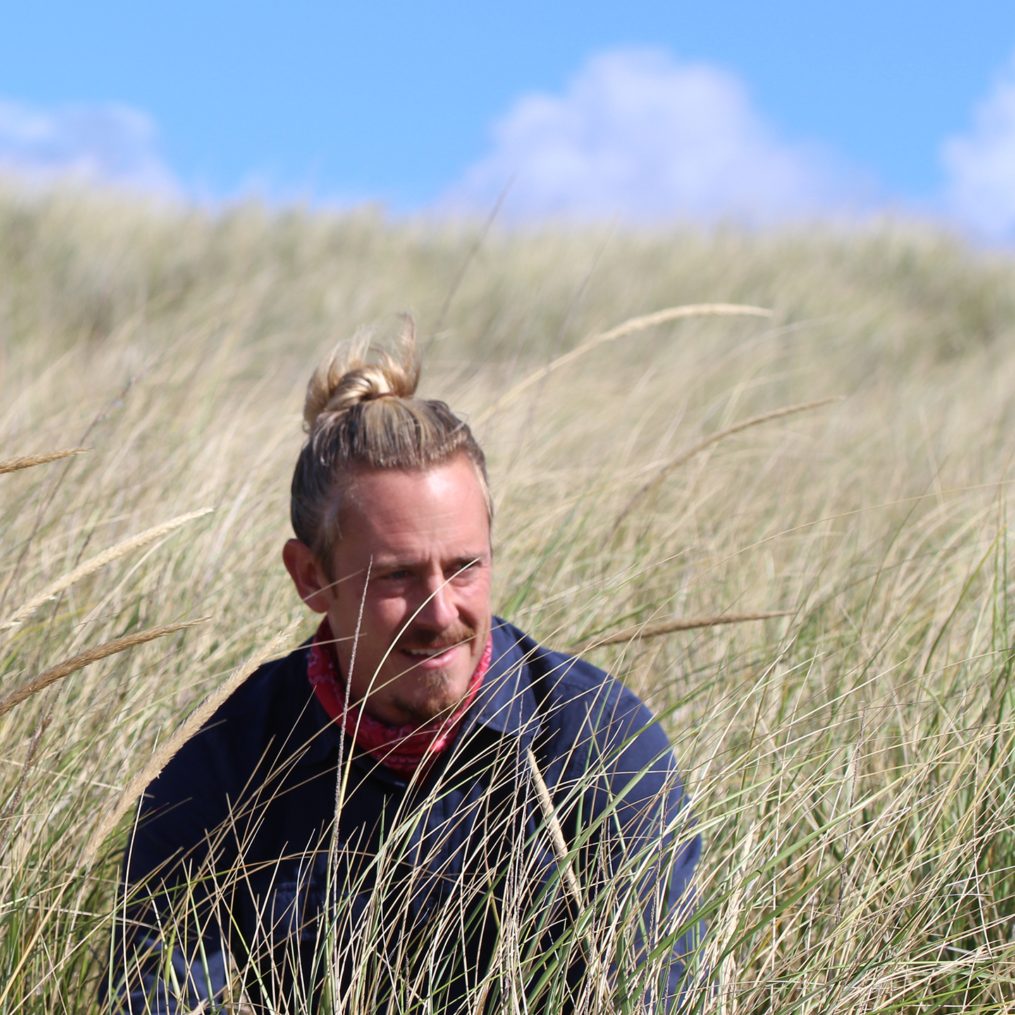 creek-grasses.jpg