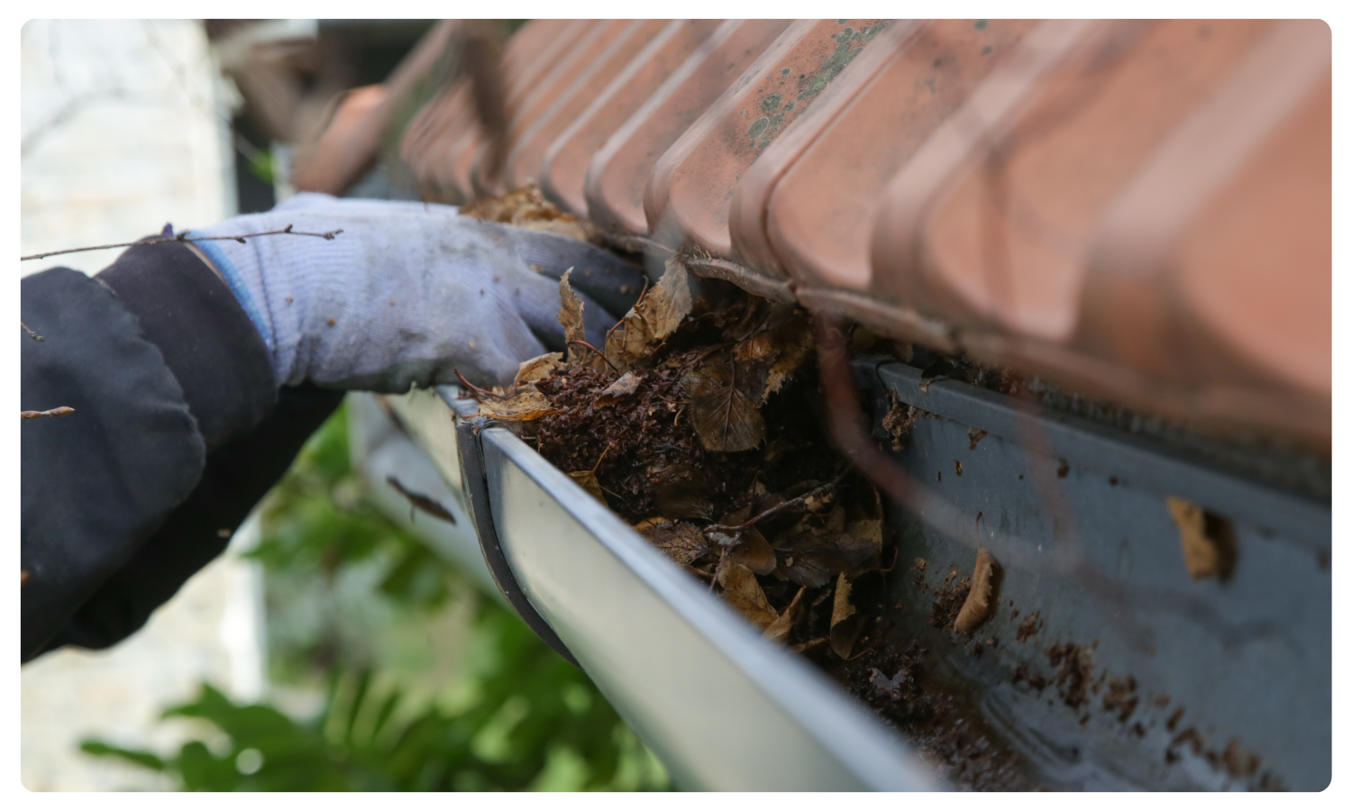 RK Seamless Gutter Cleaning.png