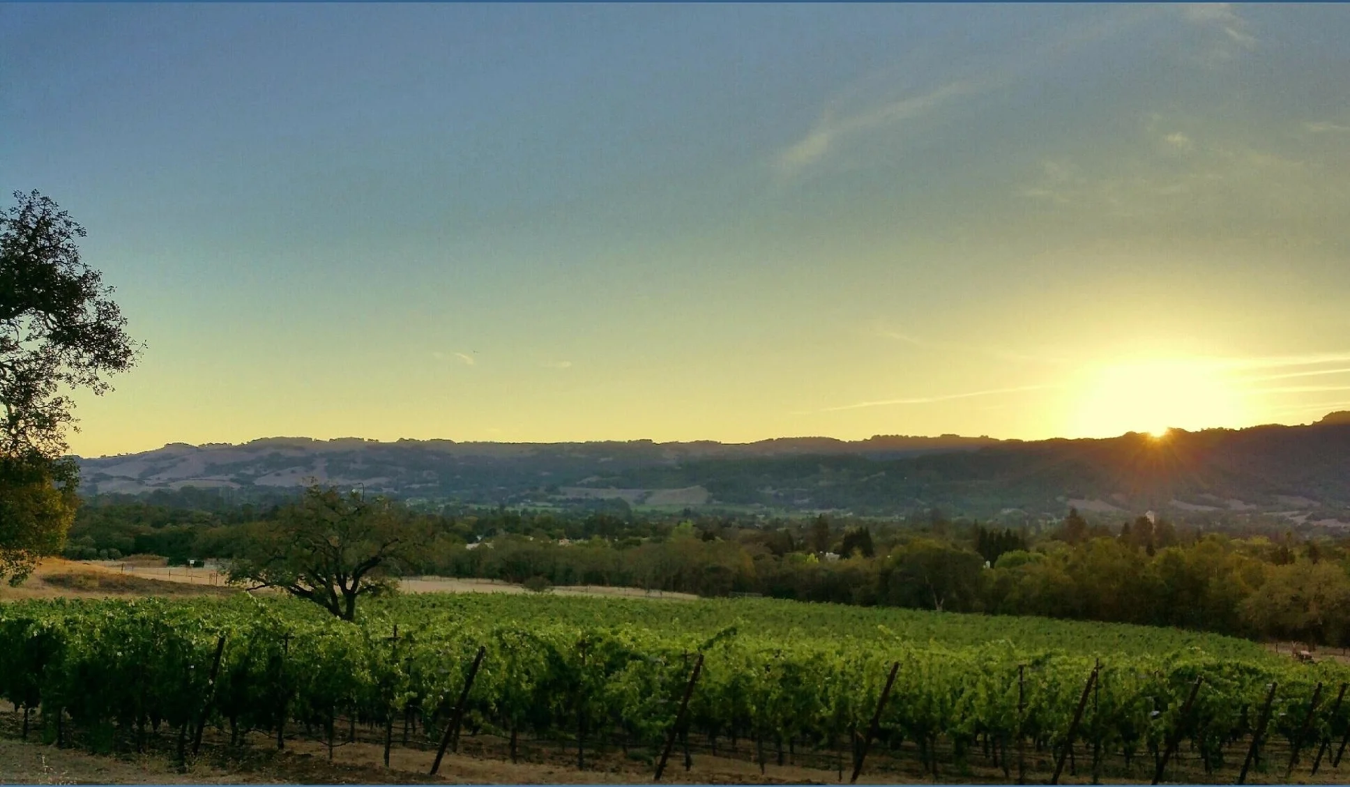 File Feb 09, 9 57 08 AM.jpeg