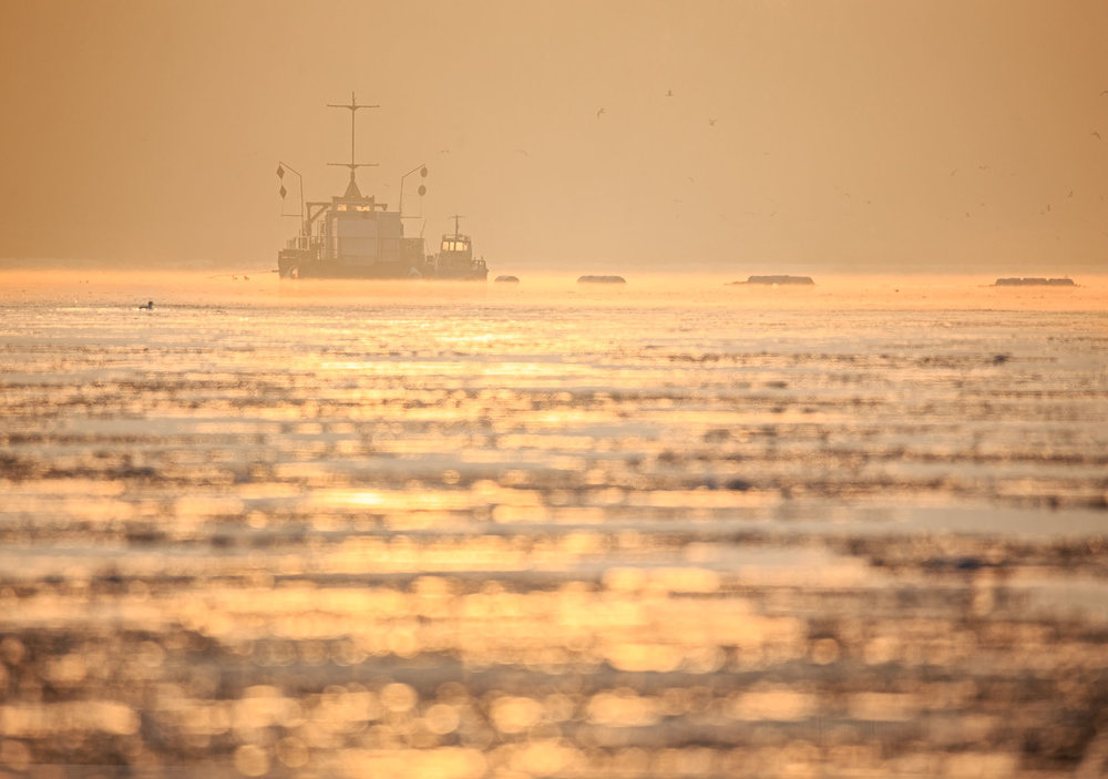  Pogłębiarka na Wiśle, &nbsp;Iso 100; 600 mm; f/6,3, 1/160s 